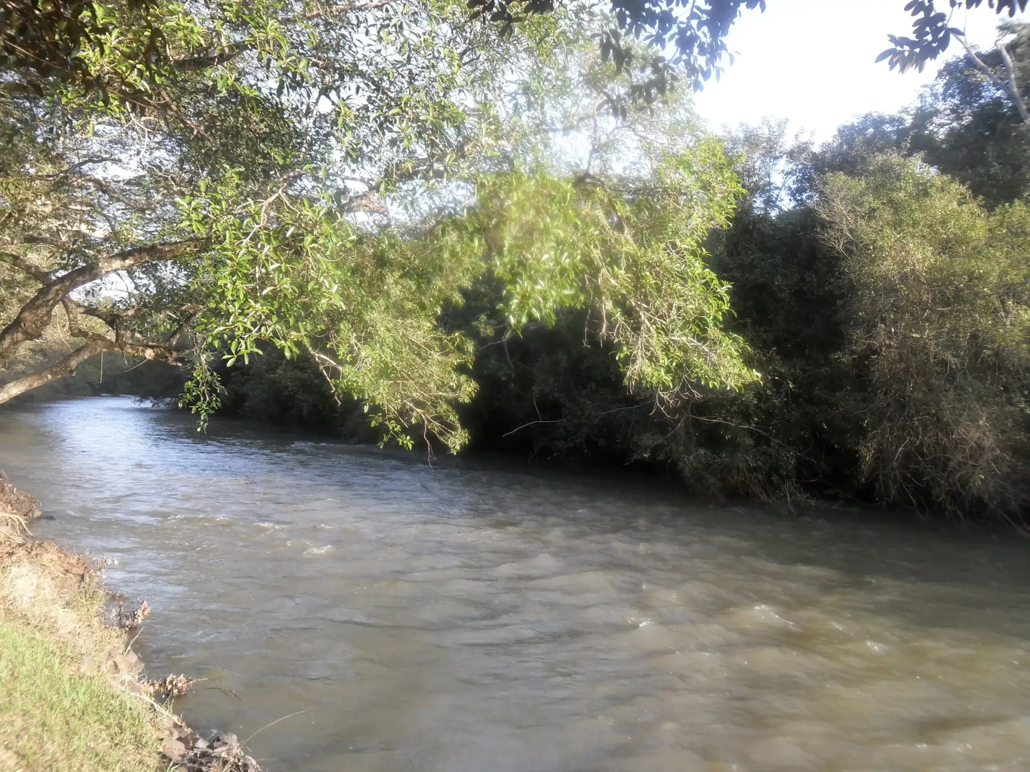 Rio São José dos Dourados