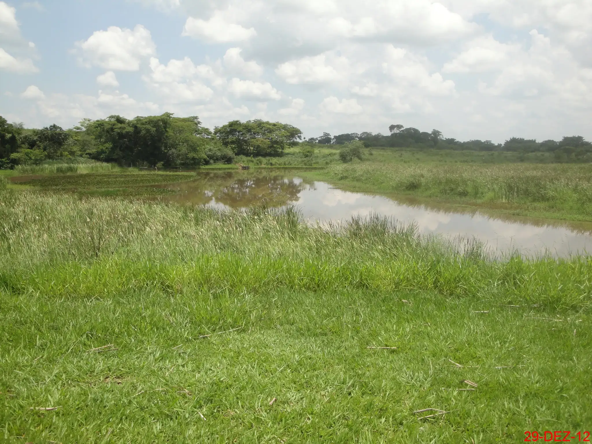 Ribeirão dos Porcos