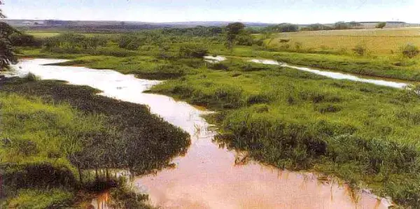 Rio Jacaré-Guaçu
