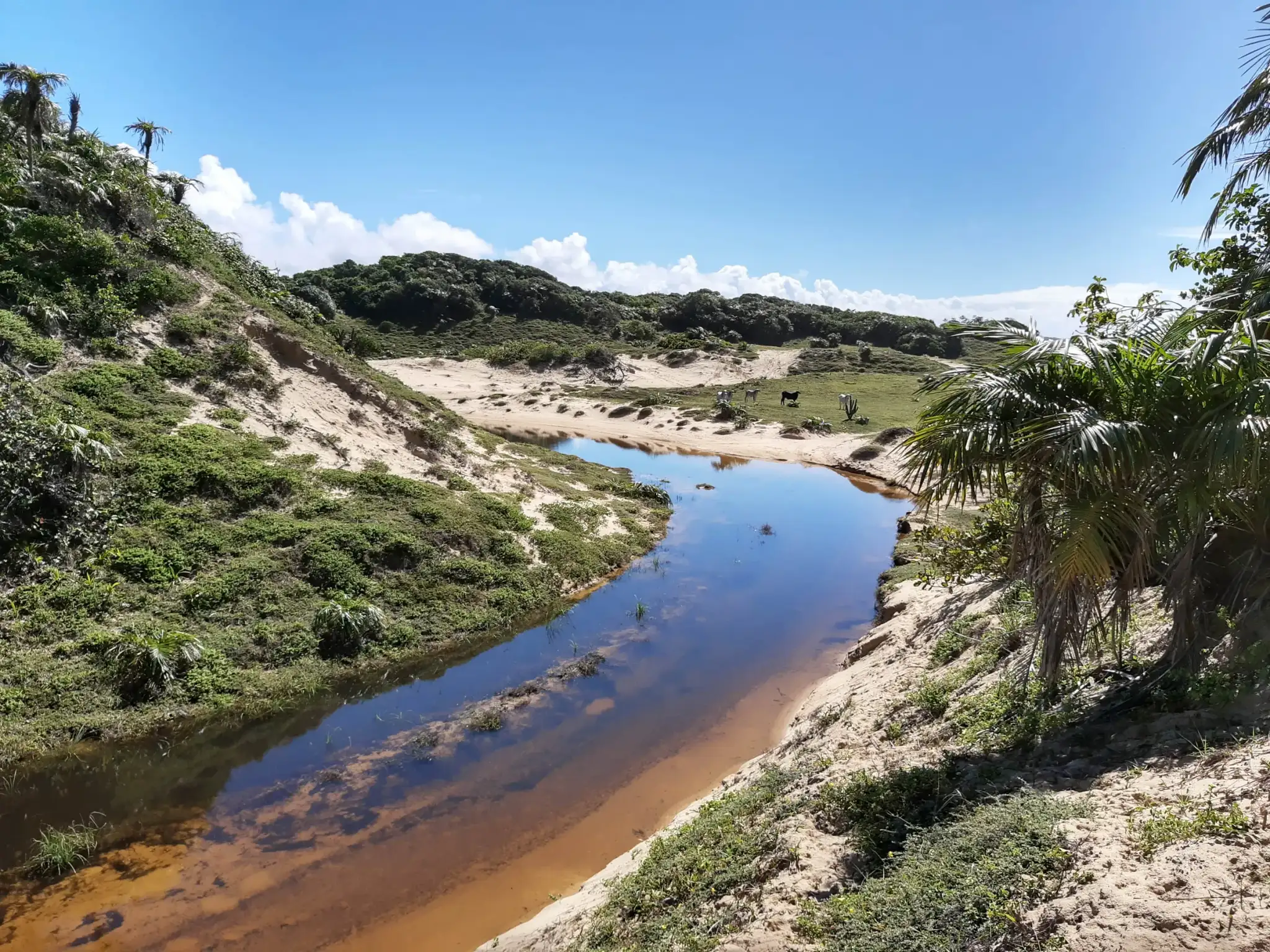 Caueira e Praia do Saco