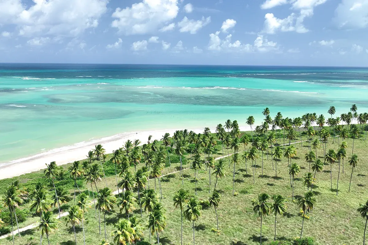 Praia e piscinas naturais de São Miguel dos Milagres, na Costa dos Corais, Alagoas