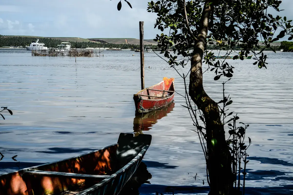 Canoas de pescadores na Lagoa do Roteiro, em Alagoas