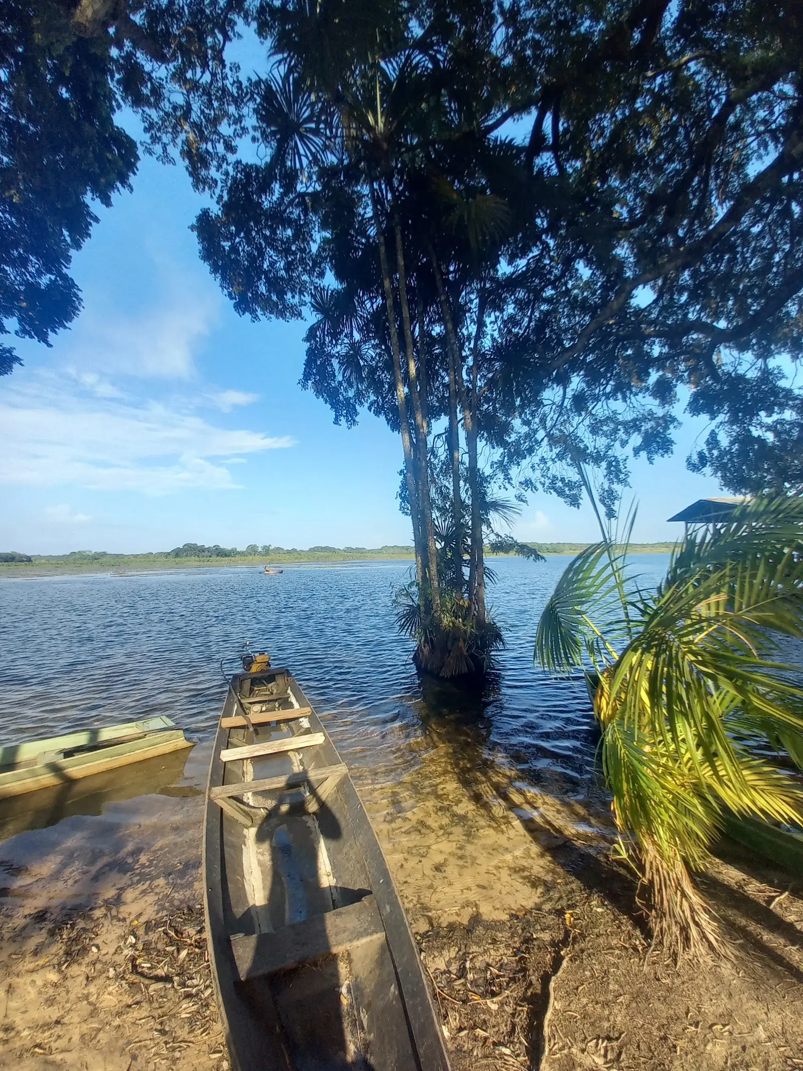 Canoa de madeira na beira da água do Retiro Valério, no Curiaú, sob árvores altas