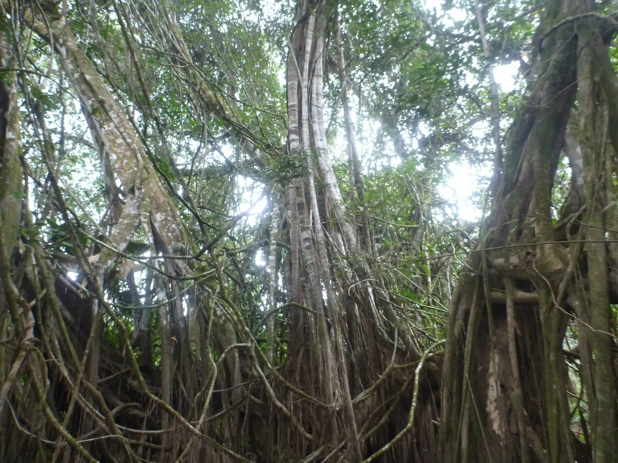 Rio em Jutaí, no Amazonas