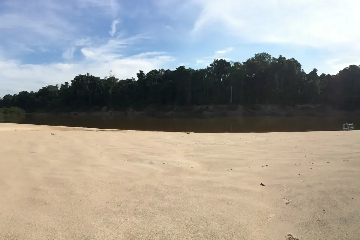 Margem do rio Jutaí, no interior do Amazonas