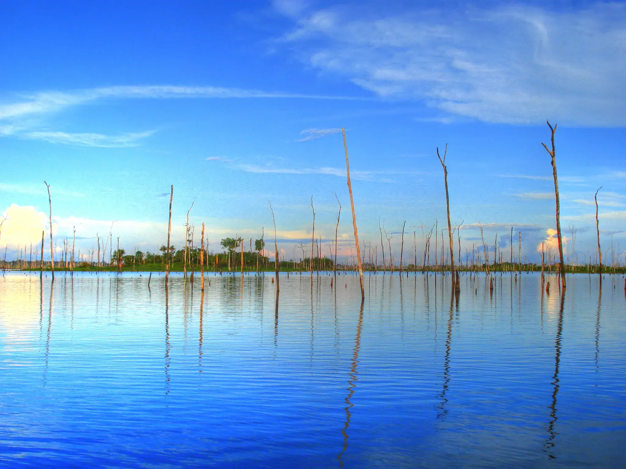 Lago da represa de Balbina sob céu azul, com troncos secos de árvores saindo da água