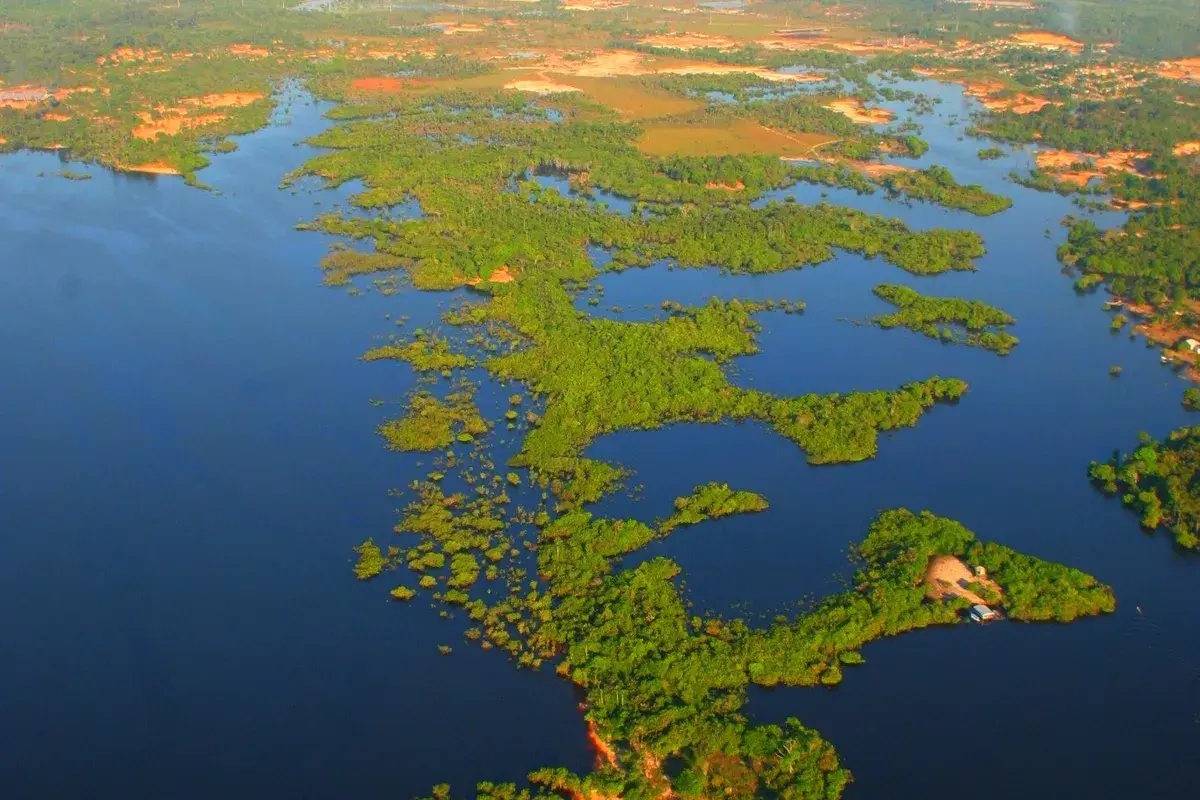 Vista aérea do rio Negro cortando a floresta amazônica