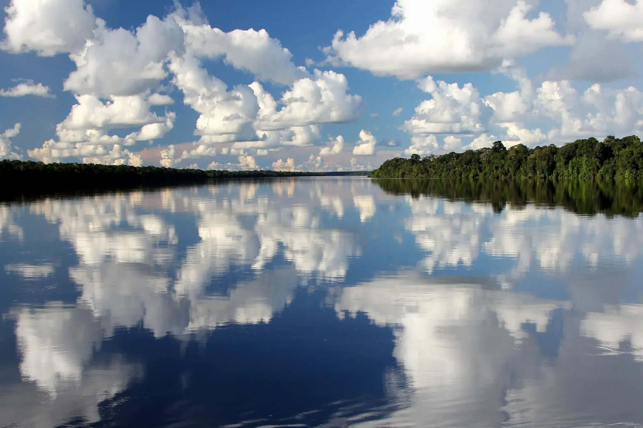 Rio Uaupés largo e calmo refletindo nuvens, com floresta nas duas margens