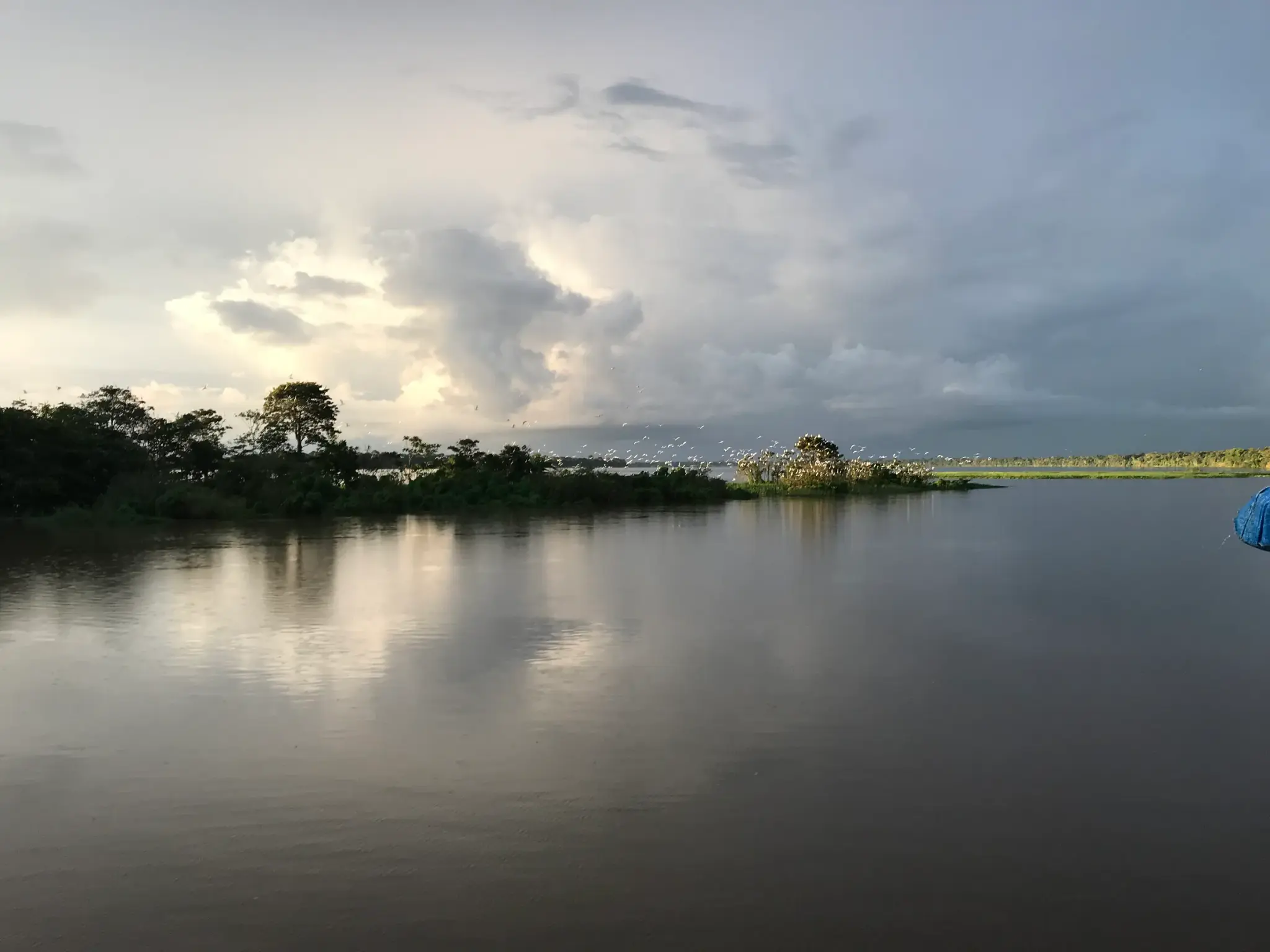 Lago Amanã, em Maraã, no Amazonas