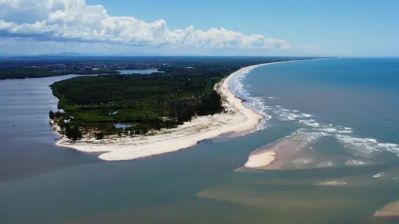 Canais do estuário serpenteando entre os manguezais de Canavieiras