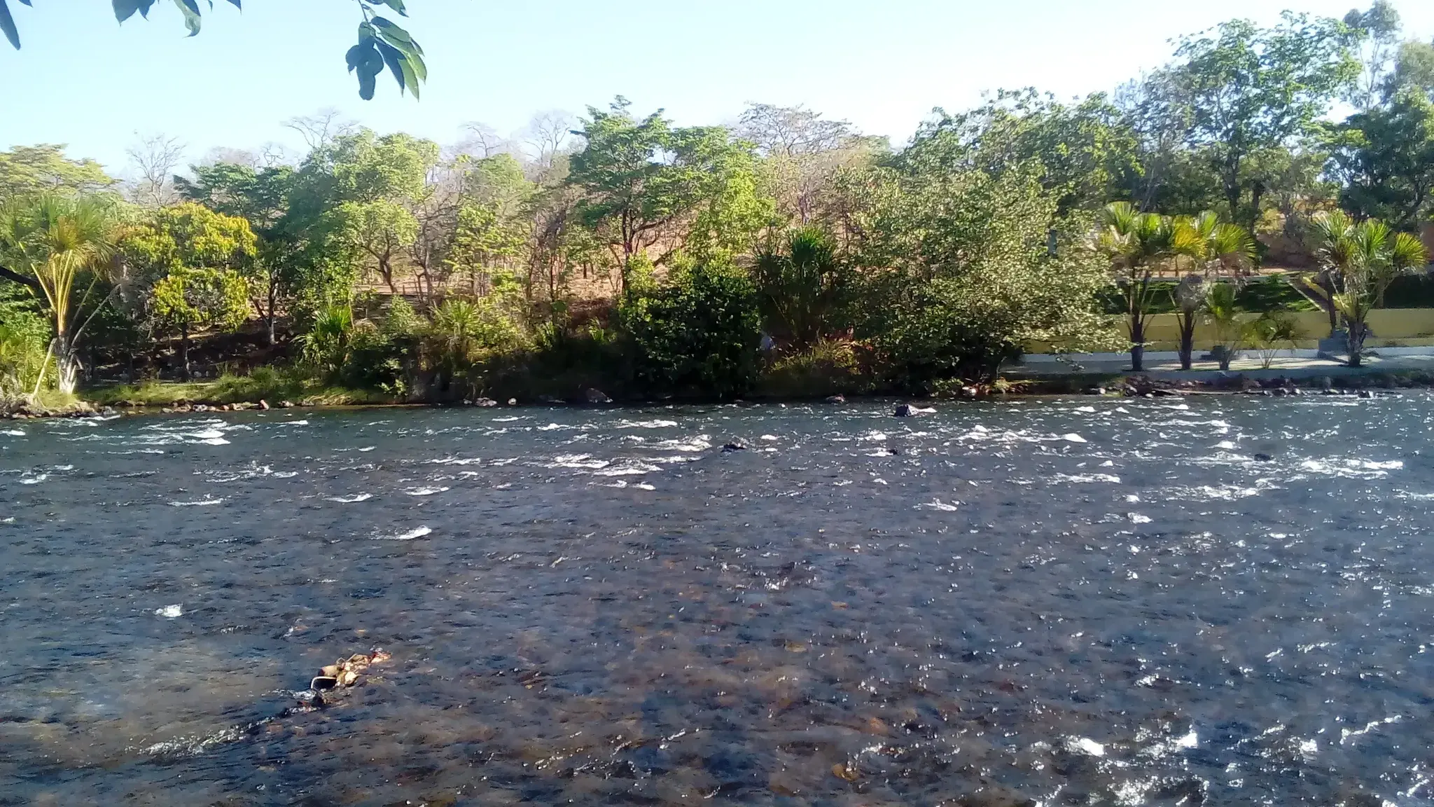Rio de Ondas com corredeira e margem arborizada em Barreiras