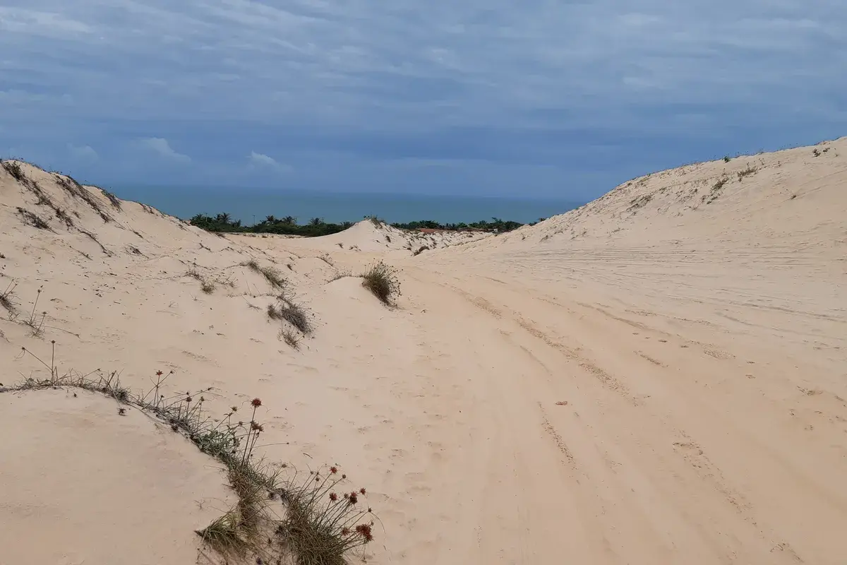 Falésias e praia de Canoa Quebrada, em Aracati