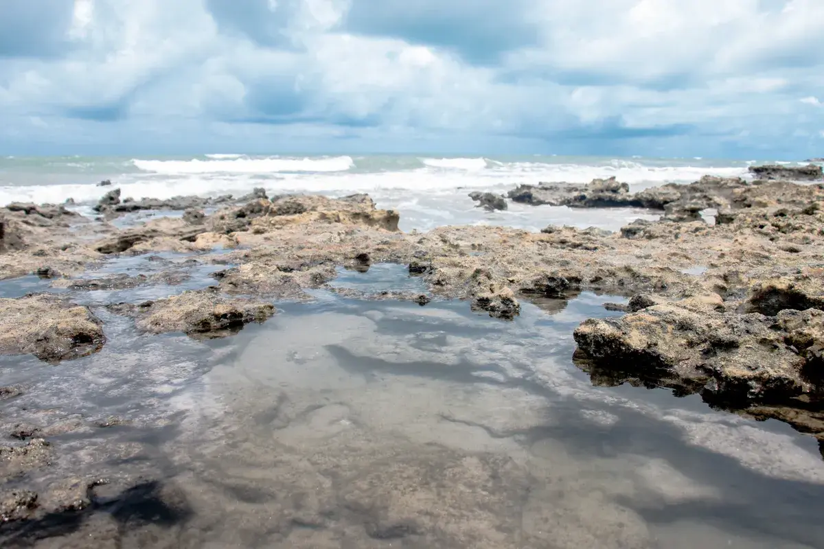 Formação de corais na praia de Pontal de Maceió, em Fortim