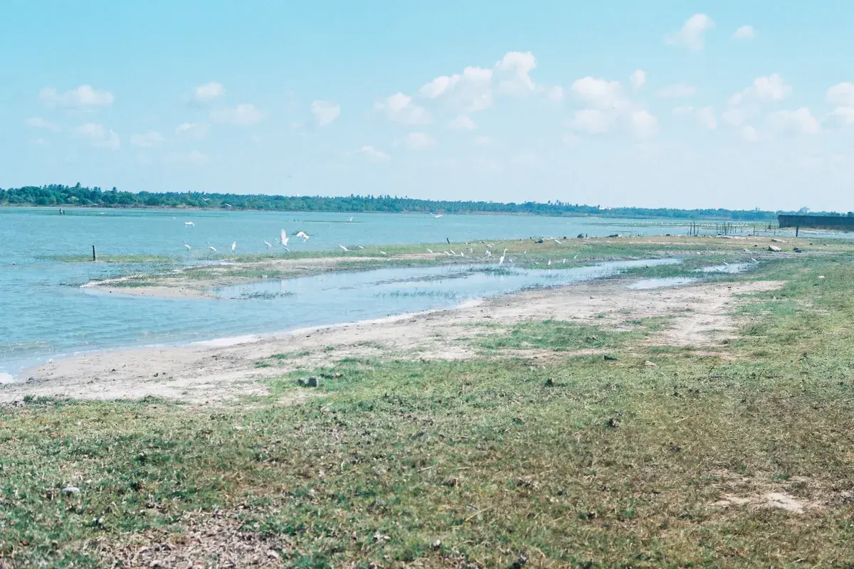 Lagoa da Precabura, na divisa entre Fortaleza e Eusébio, no Ceará