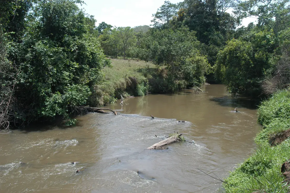 Rio São Bartolomeu