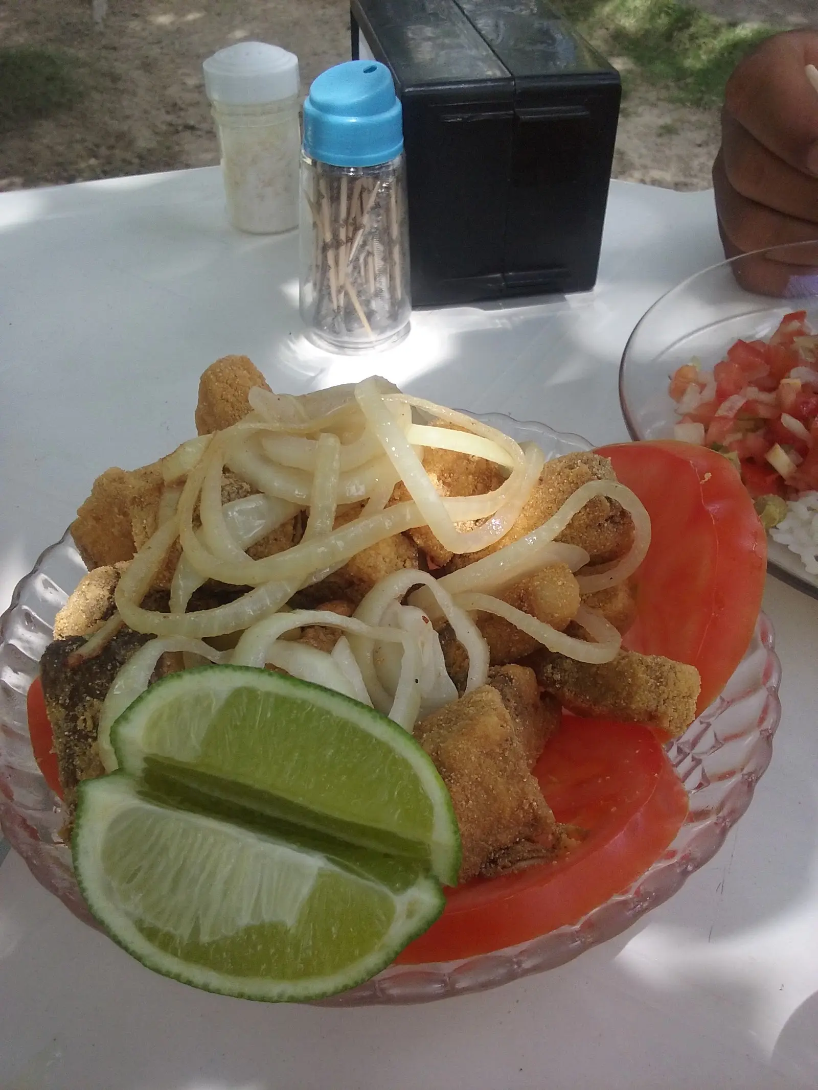 Pesque Pague do Rogério, em Barra de São Francisco, Espírito Santo