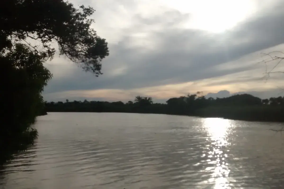 Rio Mariricu