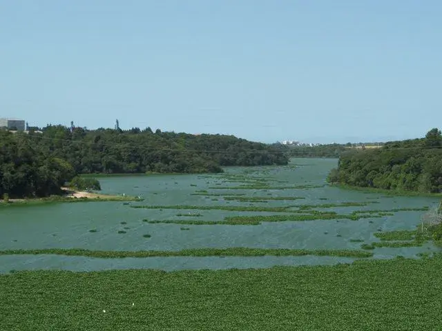 Lagoa Jacuném, destino de pesca urbana na Serra, região metropolitana de Vitória, Espirito Santo