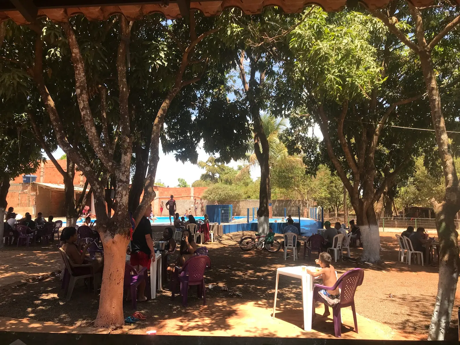 Mesas sob mangueiras com a piscina ao fundo no Pesque e Pague 3 Irmãos