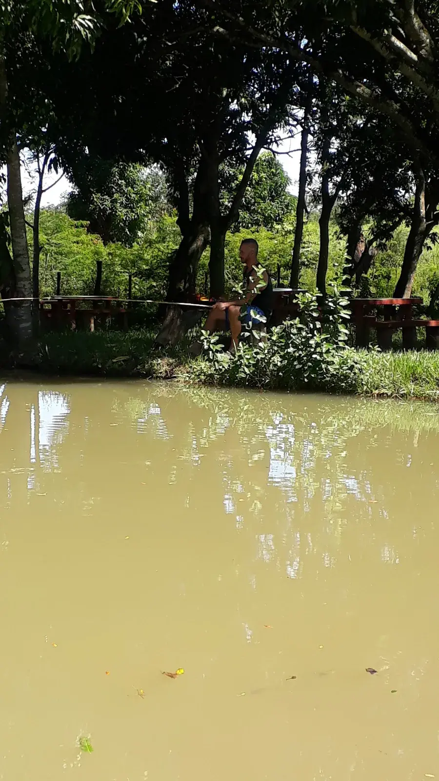 Pesque e Pague do Juca em Novo Gama, Goiás