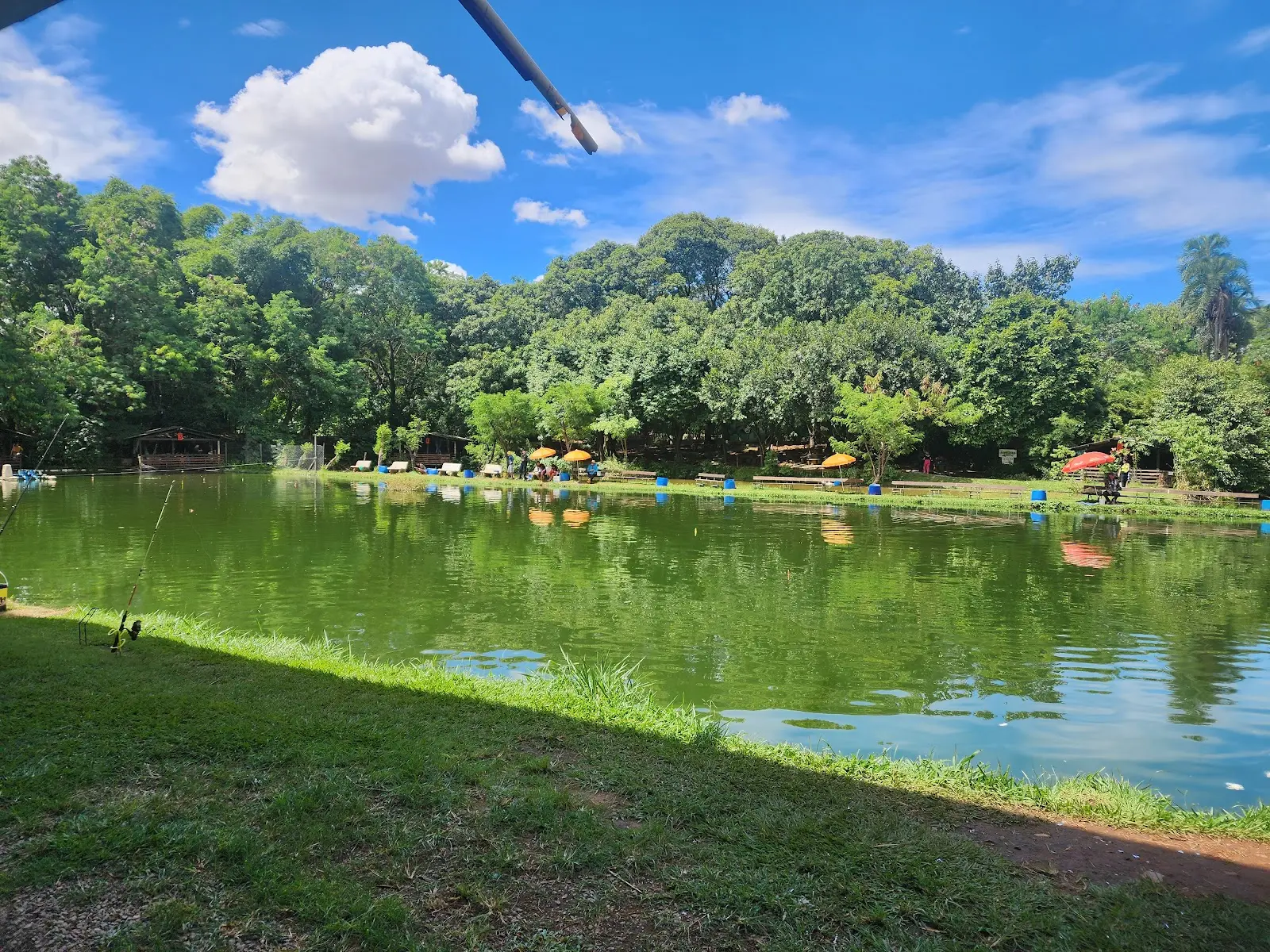 Lago do Clube de Pesca Água Verde cercado de árvores, com guarda-sóis e cadeiras na margem