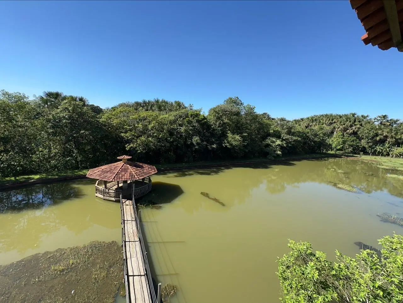 Lago cercado de mata, com passarela e quiosque sobre a água, no Clube de Pesca Encontro das Águas, em Goiânia