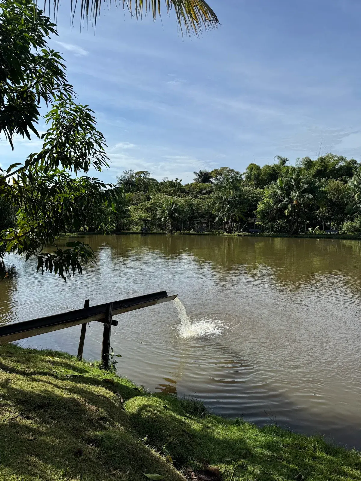 Pesque e Pague Encanto dos Peixes em Goiânia, Goiás