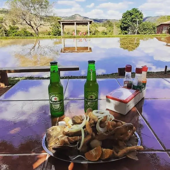 Porção de peixe frito e cervejas numa mesa à beira do lago do Pesque e Pague Veloso, com um quiosque ao fundo