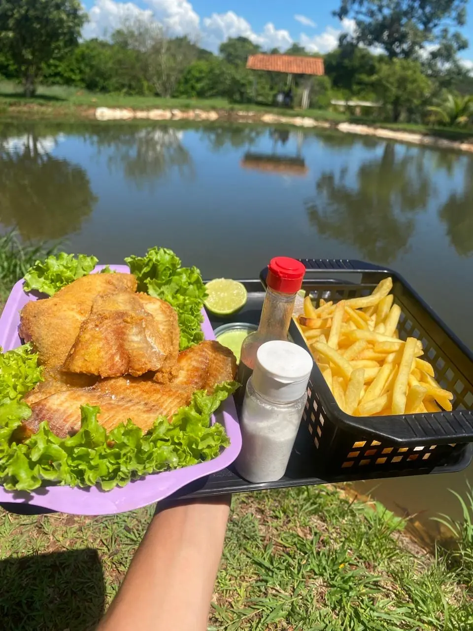 Prato de filé de peixe frito e batata frita servido na beira do lago do Pesque Pague Costelinha da Caranha