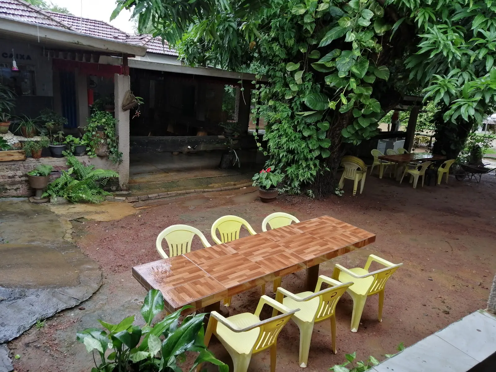 Mesa com cadeiras amarelas à sombra das árvores no Pesque Pague do Neto