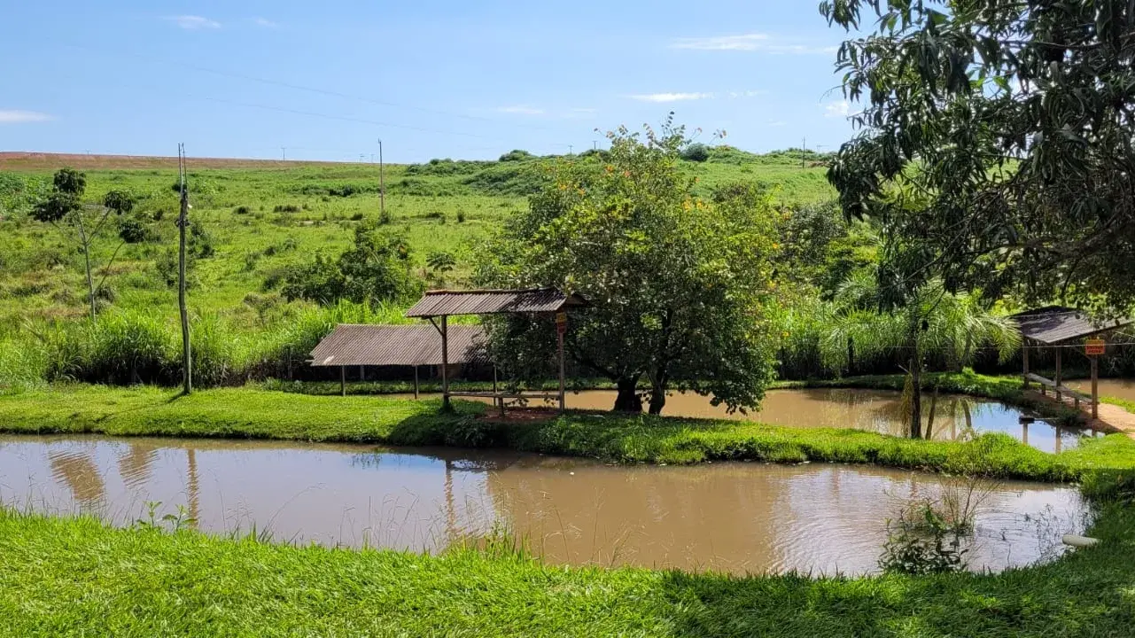 Pesque Pague do Sabino em Aparecida de Goiânia, Goiás