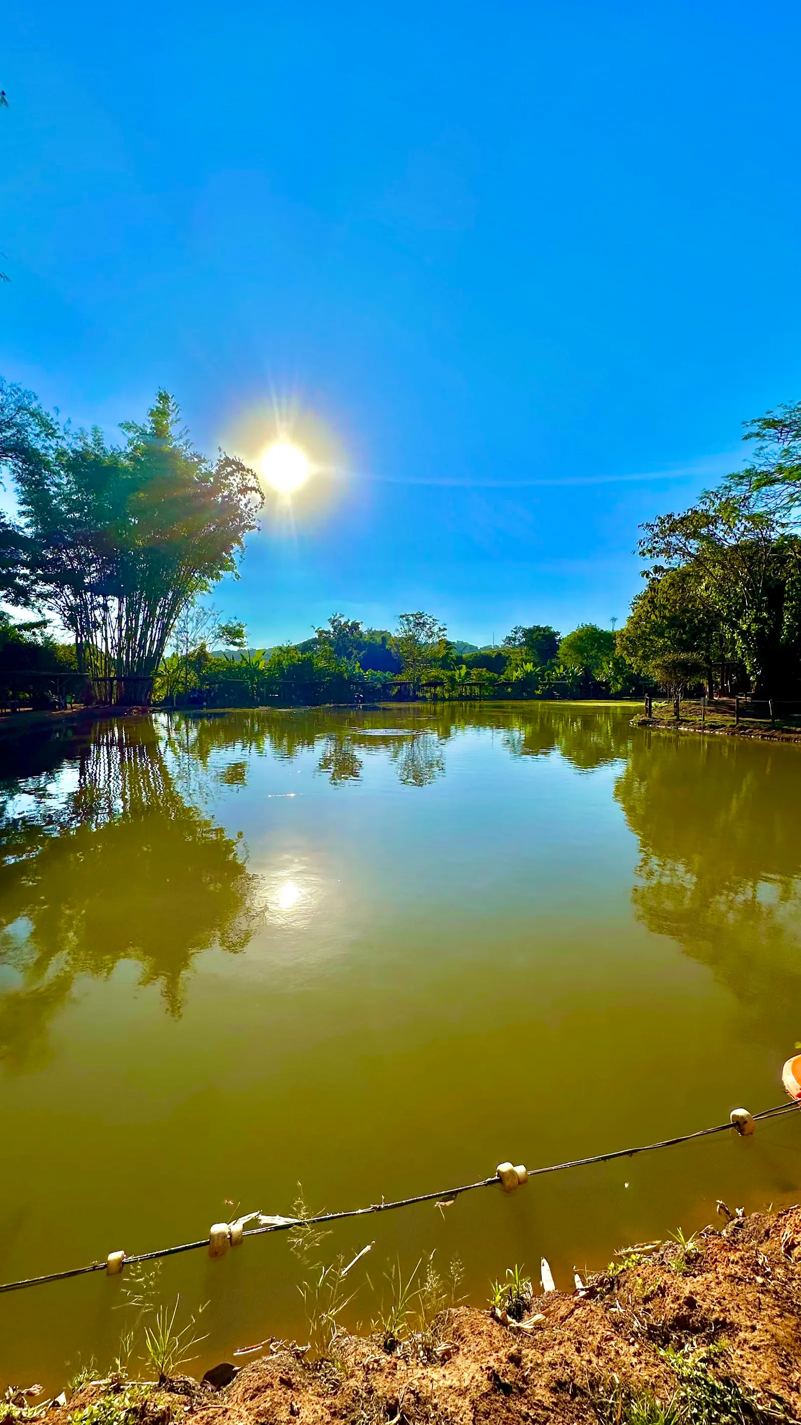 Lago do Pesque Pague Favo de Mel, em Brazabrantes, cercado de árvores num dia de sol
