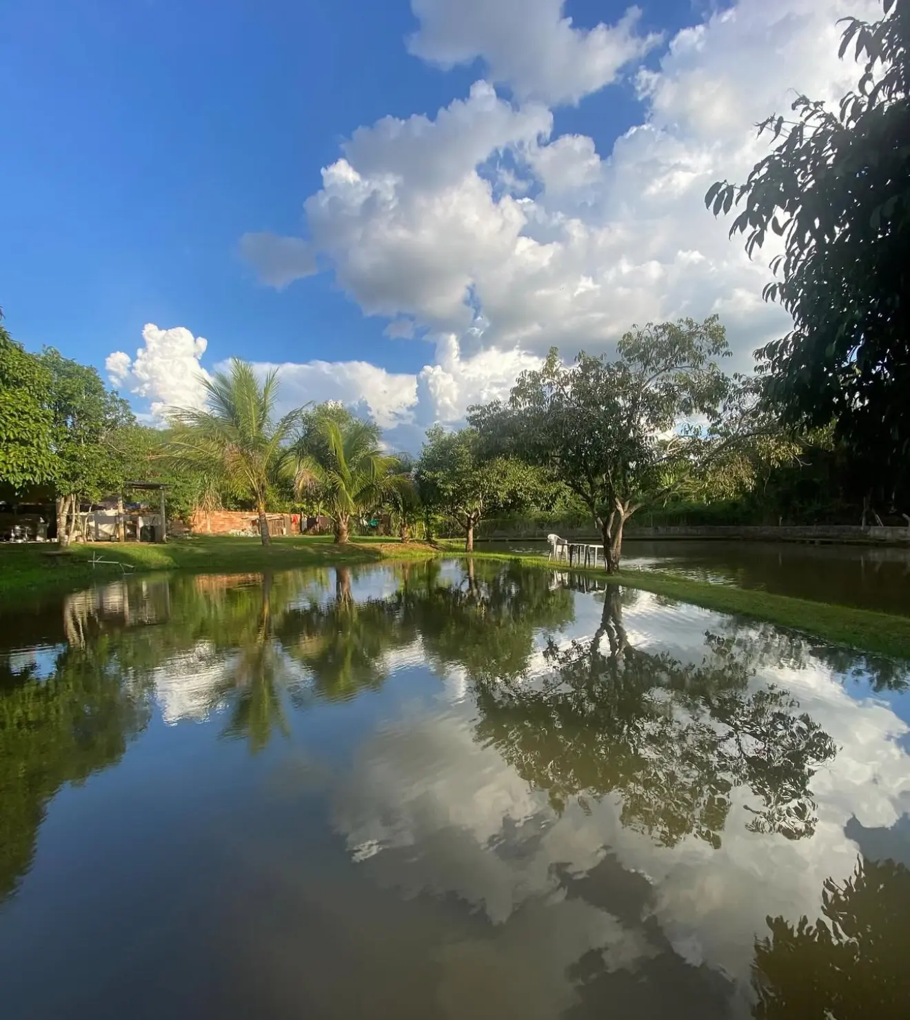 Lago do Pesque-pague Macarrão refletindo o céu, com coqueiros e árvores na margem