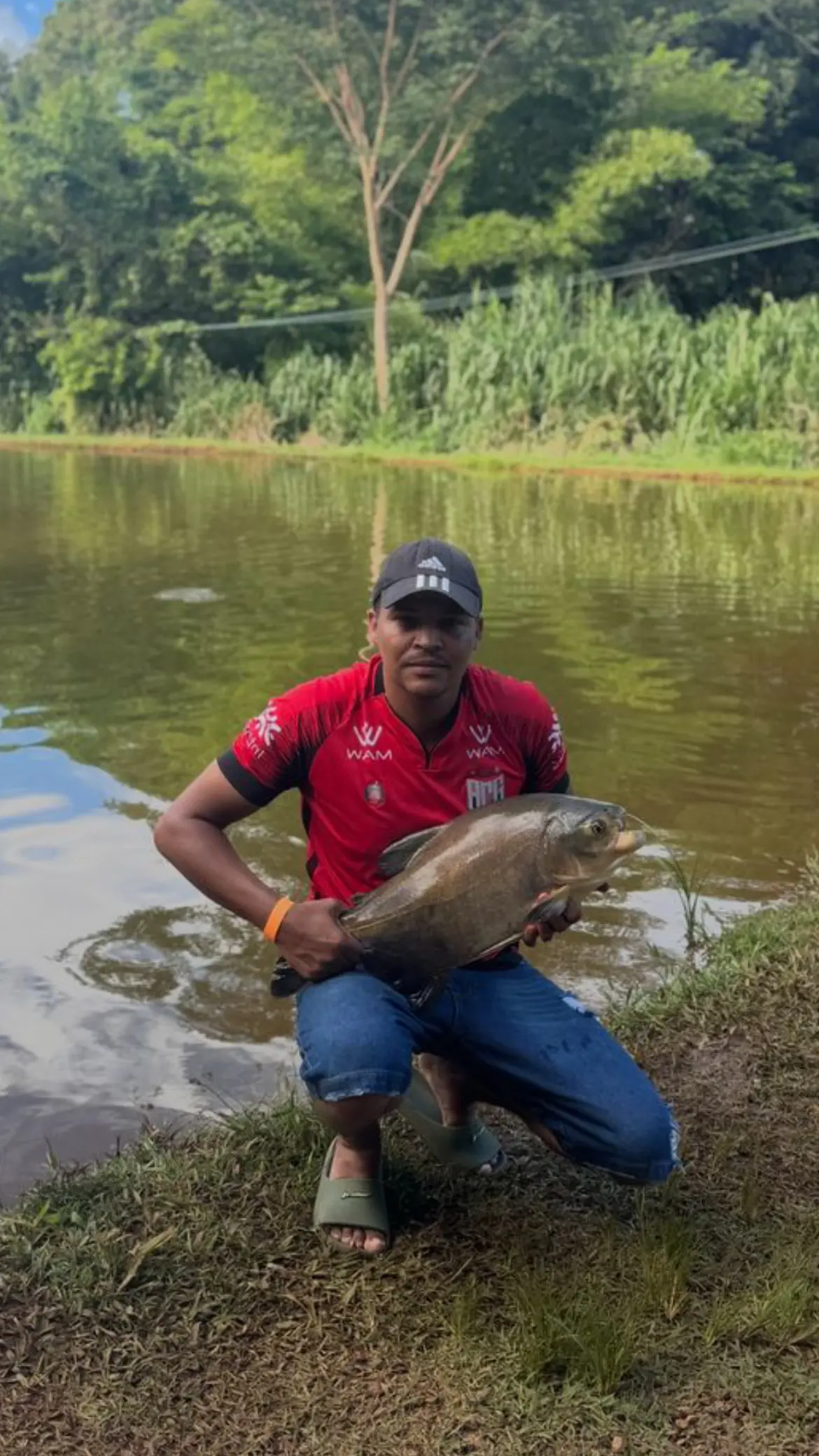 Pescador agachado segura um peixe redondo na beira de um lago cercado de mata