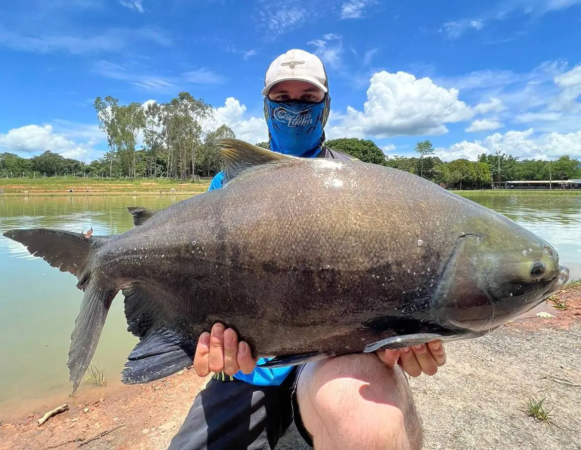 Pescador segura um peixe redondo grande à beira do lago do Pesqueiro do Dim, em Jaraguá