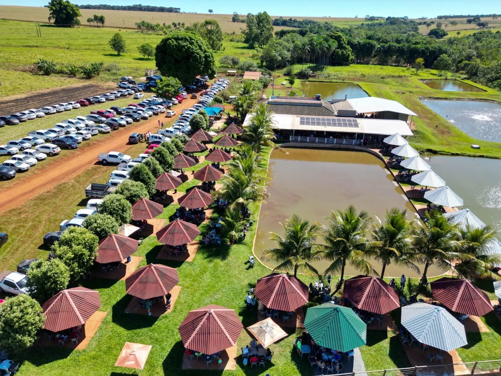 Vista aérea do Pesque e Pague Ideal, com quiosques de guarda-sol, lagos e restaurante