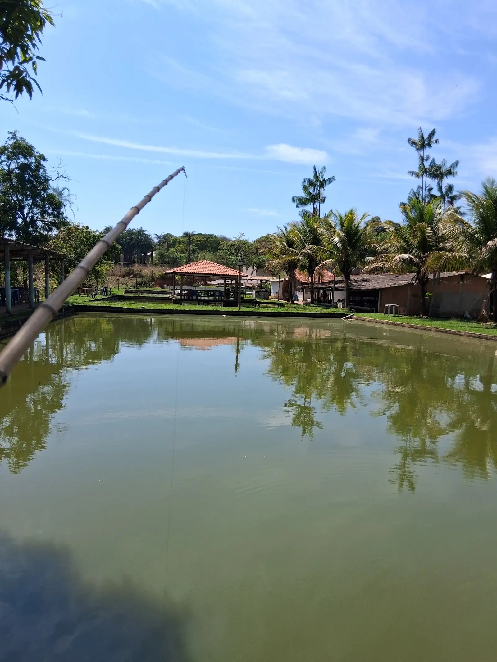 Tanque de água verde refletindo coqueiros e quiosques de telhado vermelho, com a ponta de uma vara de bambu no canto