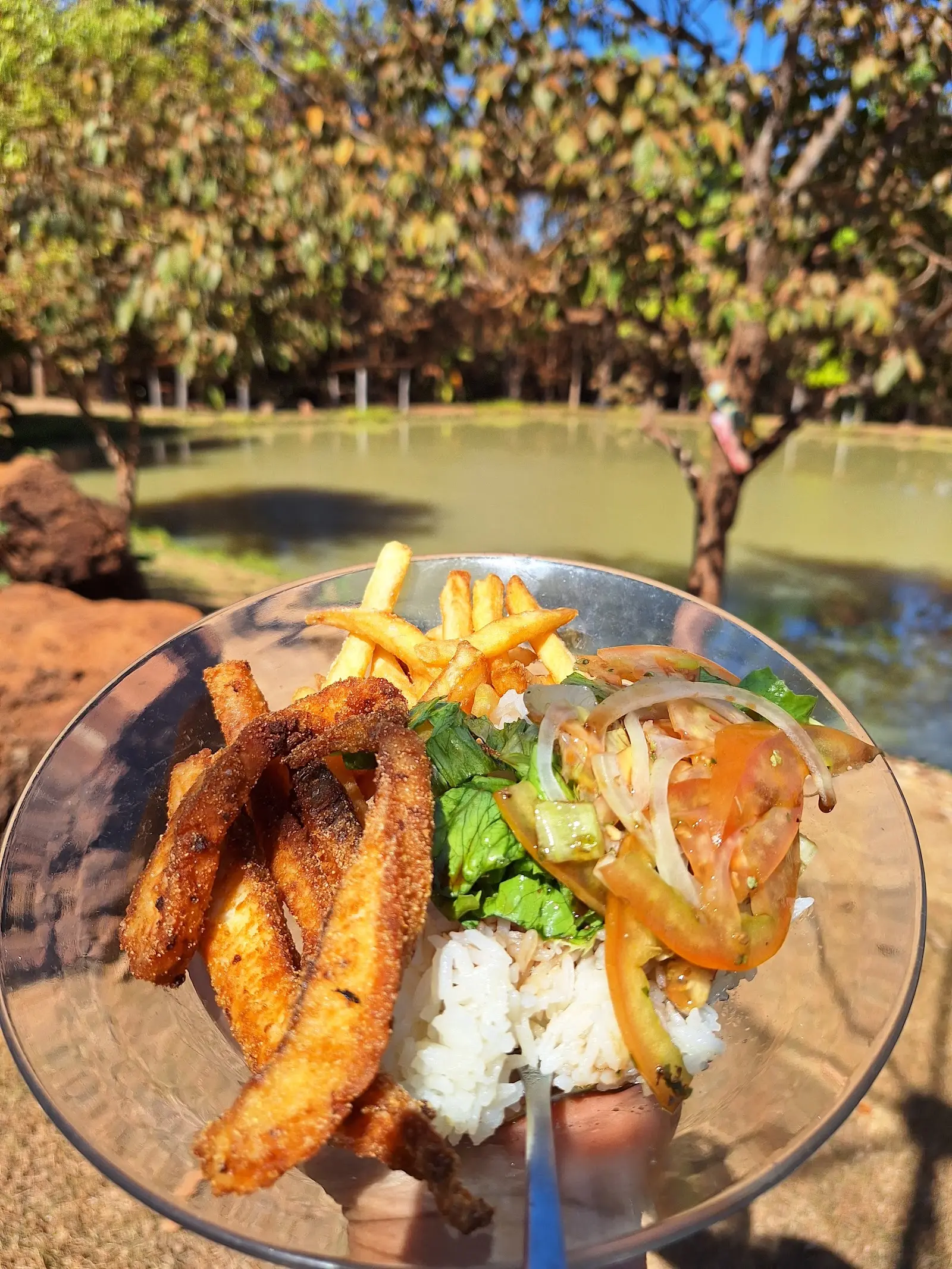 Prato de filé de peixe empanado com batata frita e salada, com um dos poços de pesca ao fundo