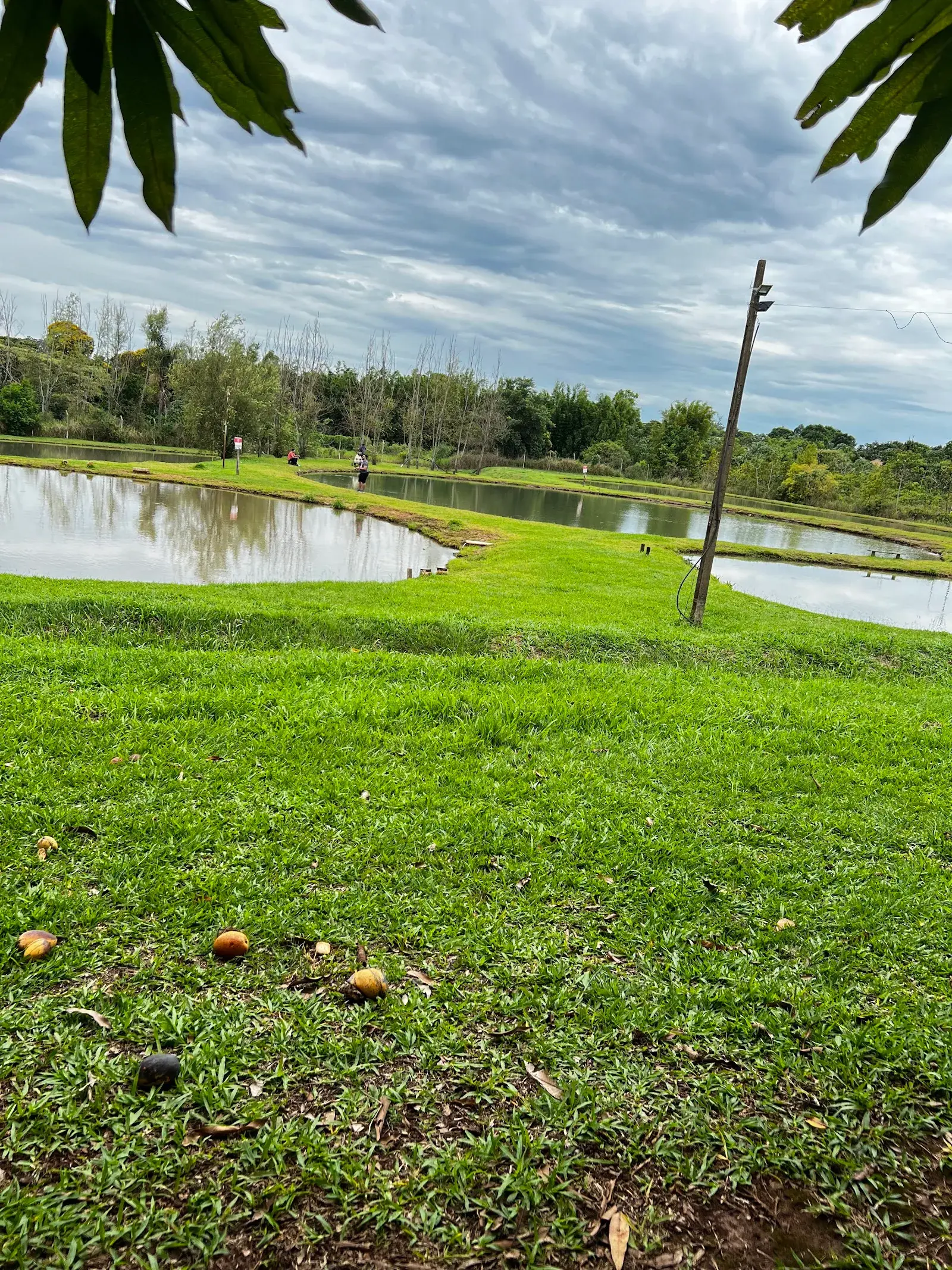 Pesqueiro Obuti em Ponta Porã, Mato Grosso do Sul