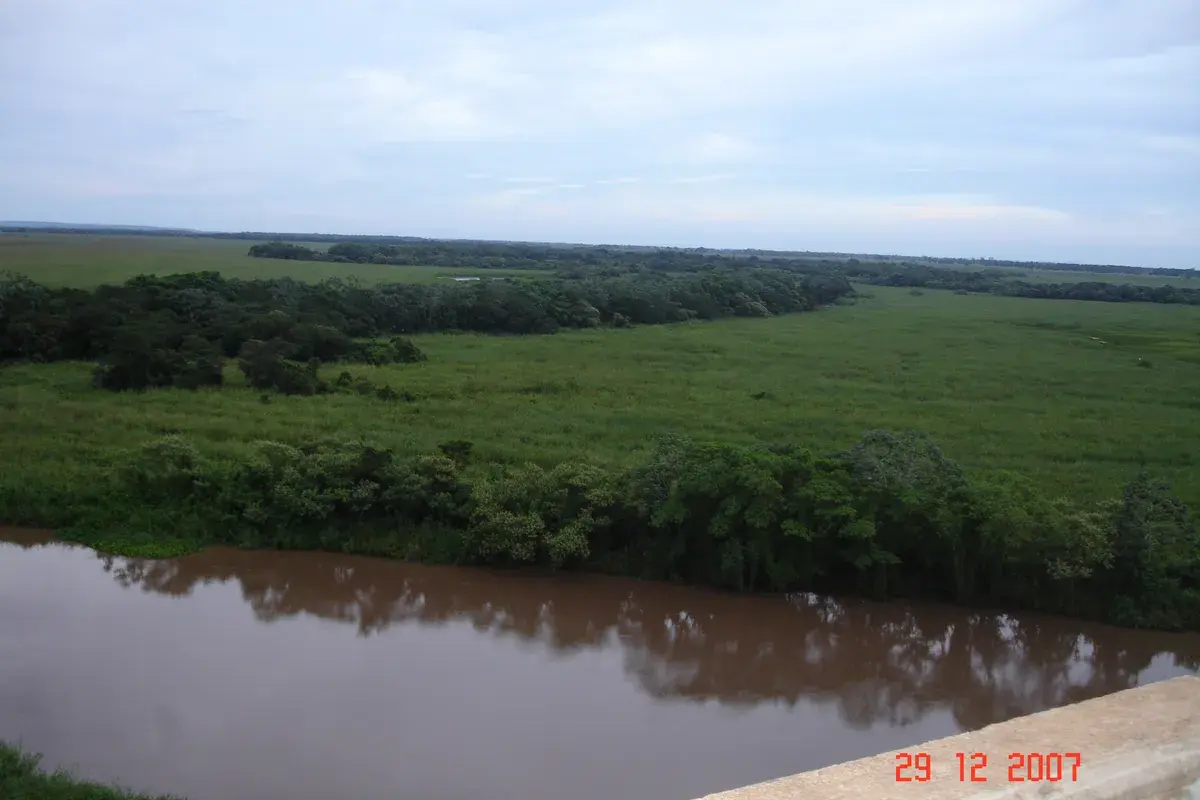 Rio Amambai correndo entre a vegetação, no Mato Grosso do Sul