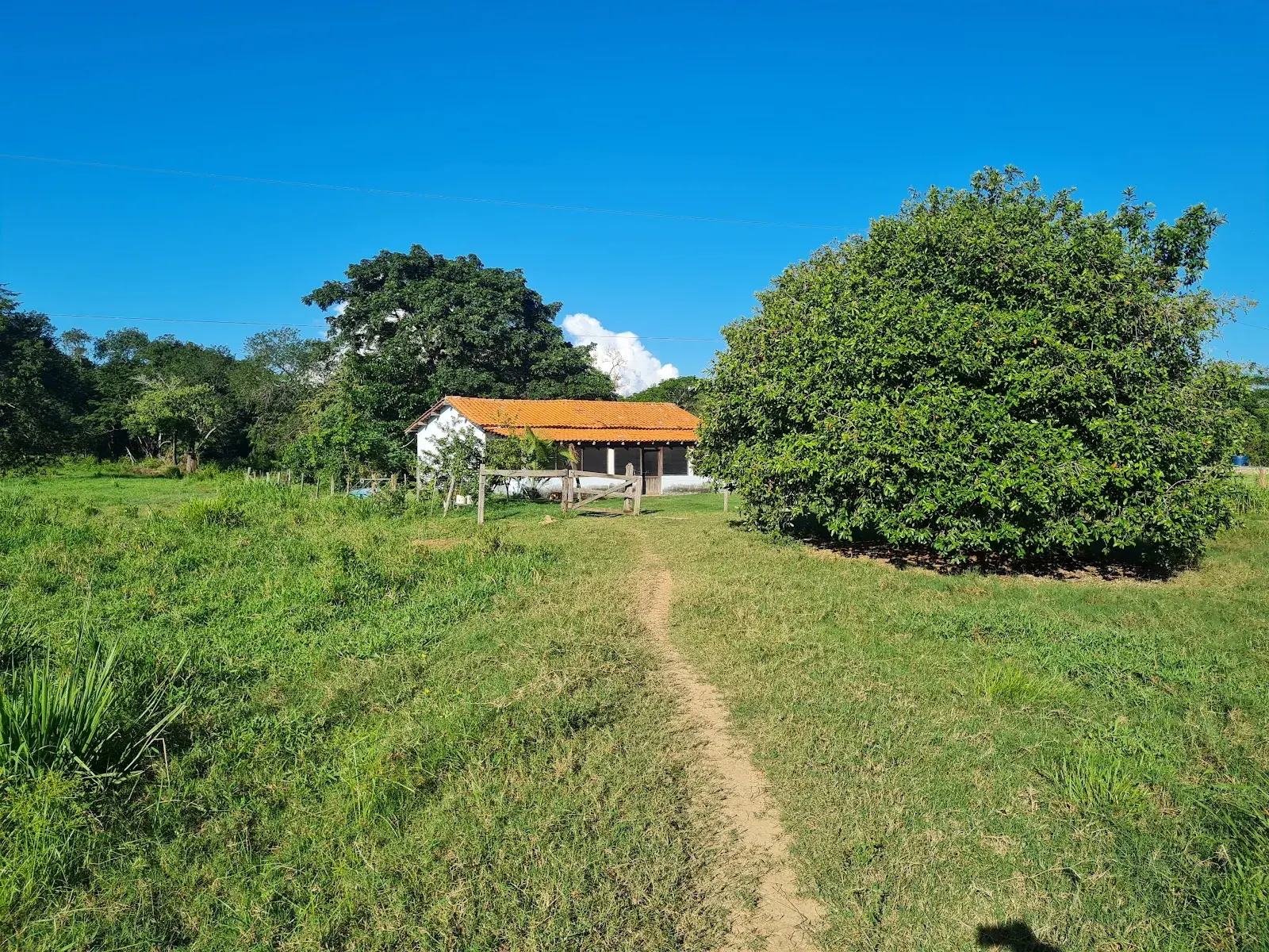 Pousada e Pesqueiro Sucuri em Barão de Melgaço, Pantanal mato-grossense