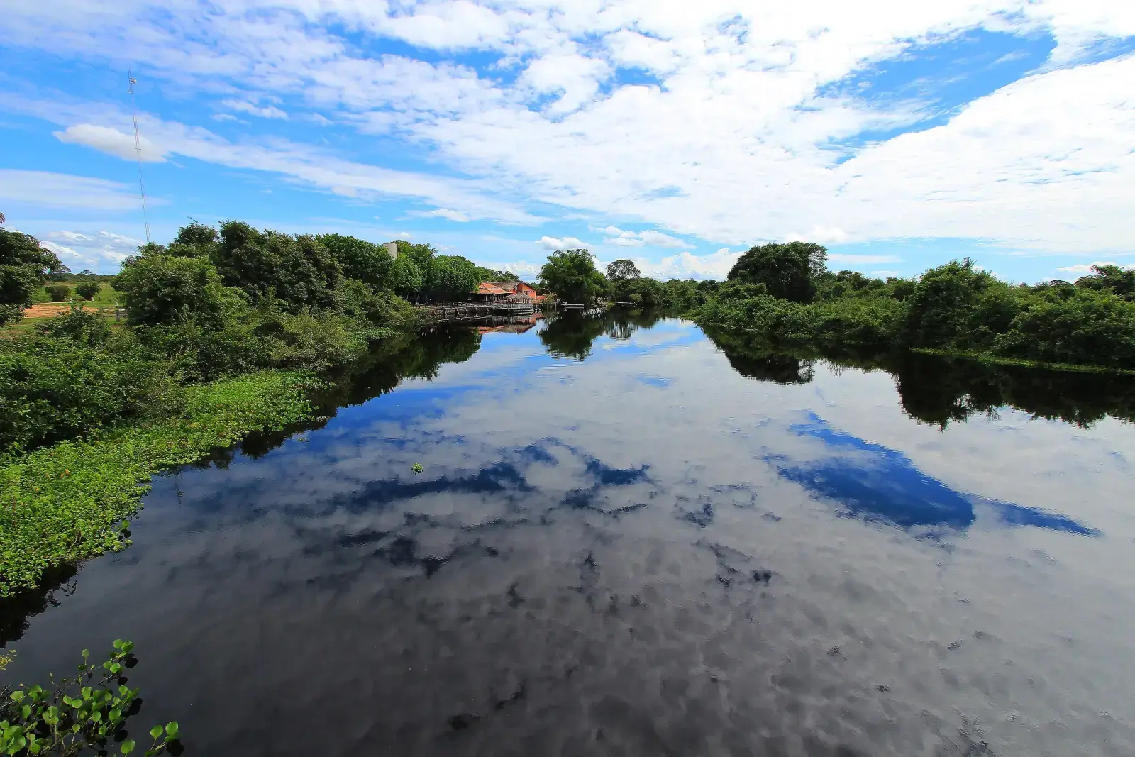 Águas escuras do Rio Pixaim correndo sob a ponte de madeira da Transpantaneira, no Pantanal Norte