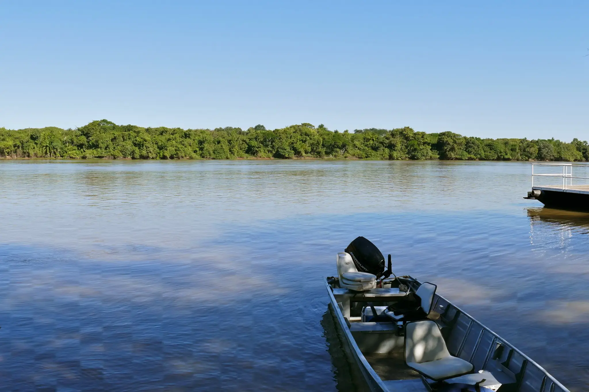 Paisagem do Pantanal de Mato Grosso com rio