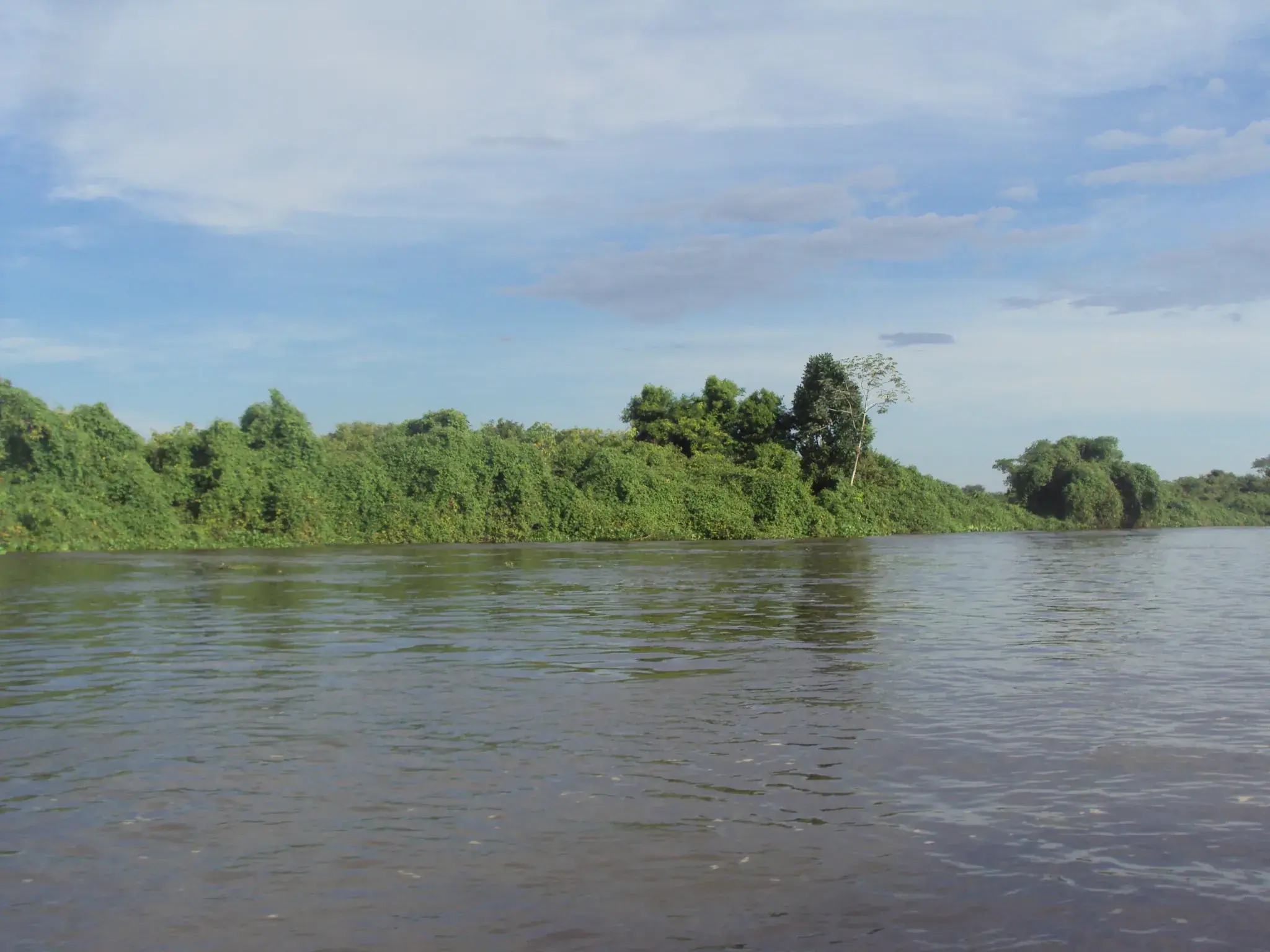 Rio Pari