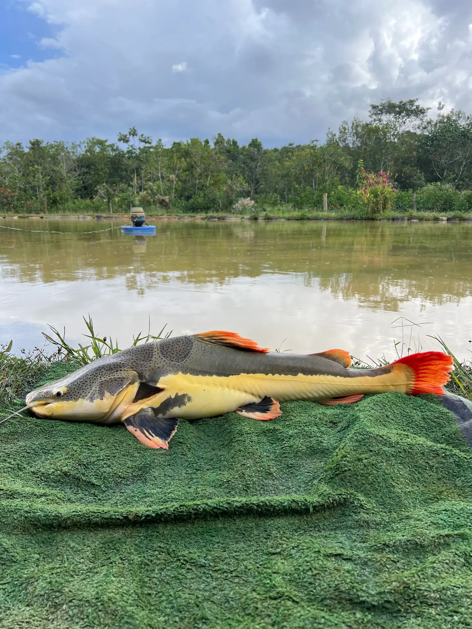 Pesqueiro do Zé do Jacó, em Santana de Patos, Minas Gerais