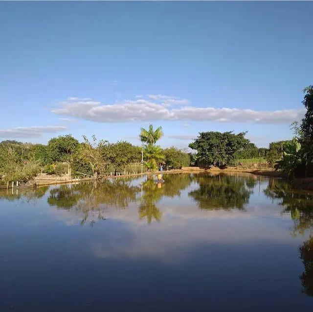 Pesque e Pague Grotadas, em Santo Antônio do Monte, Minas Gerais