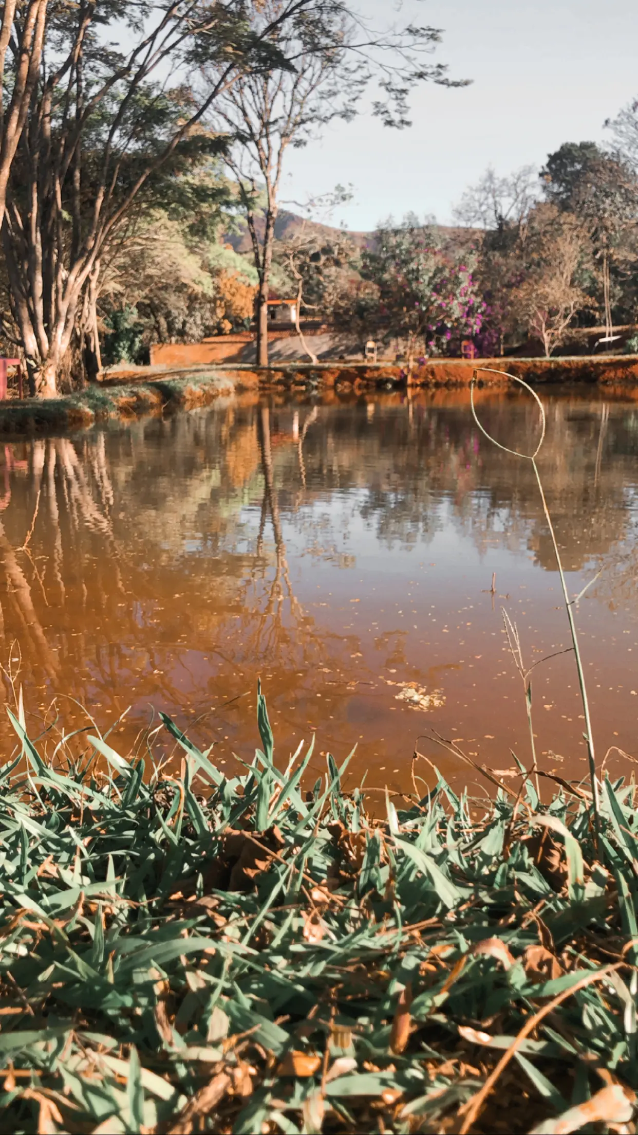 Pesque Clube Hilbert em Igarapé, Minas Gerais