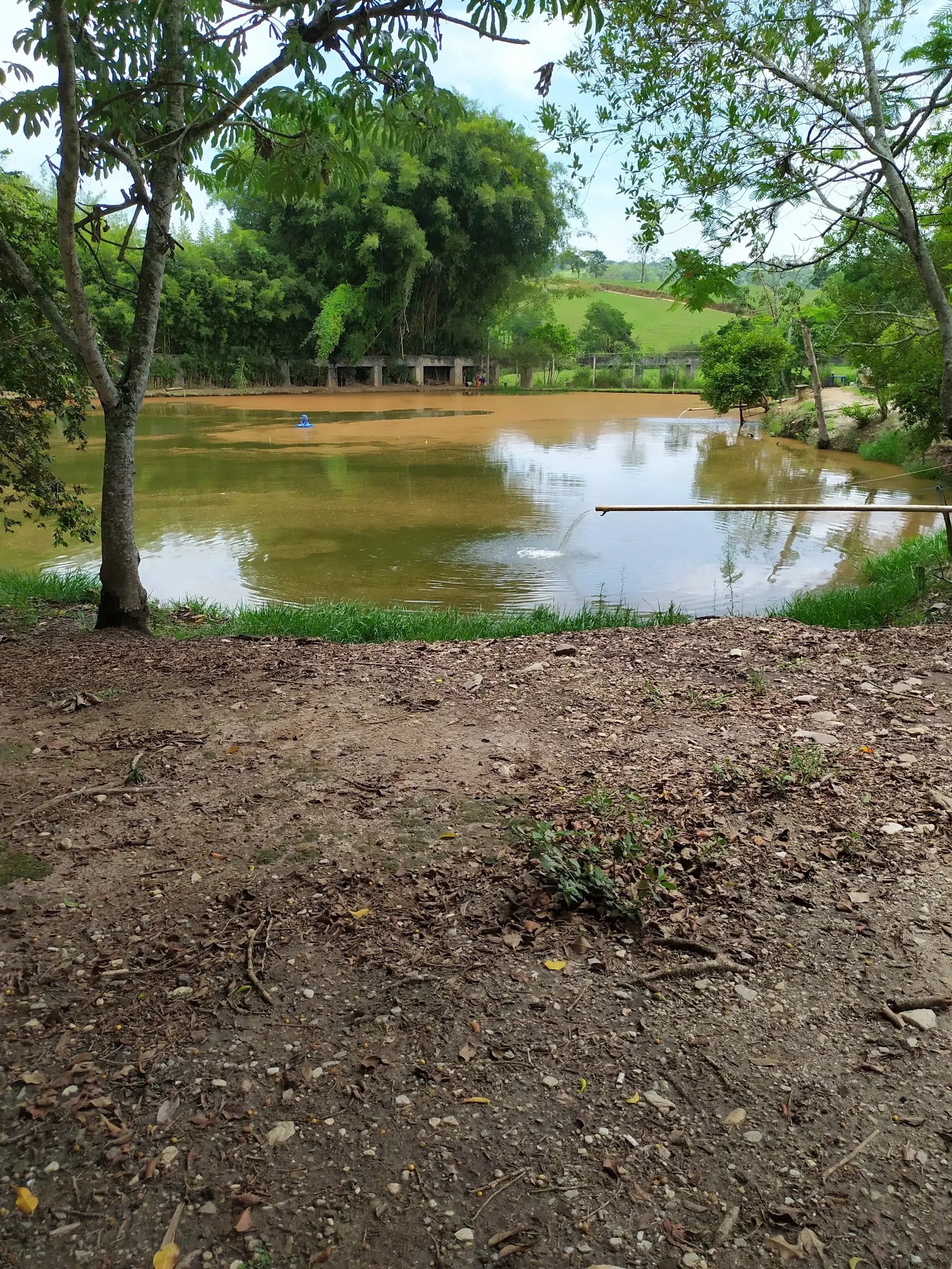 Pesqueiro Tordato's, em Passos, Minas Gerais
