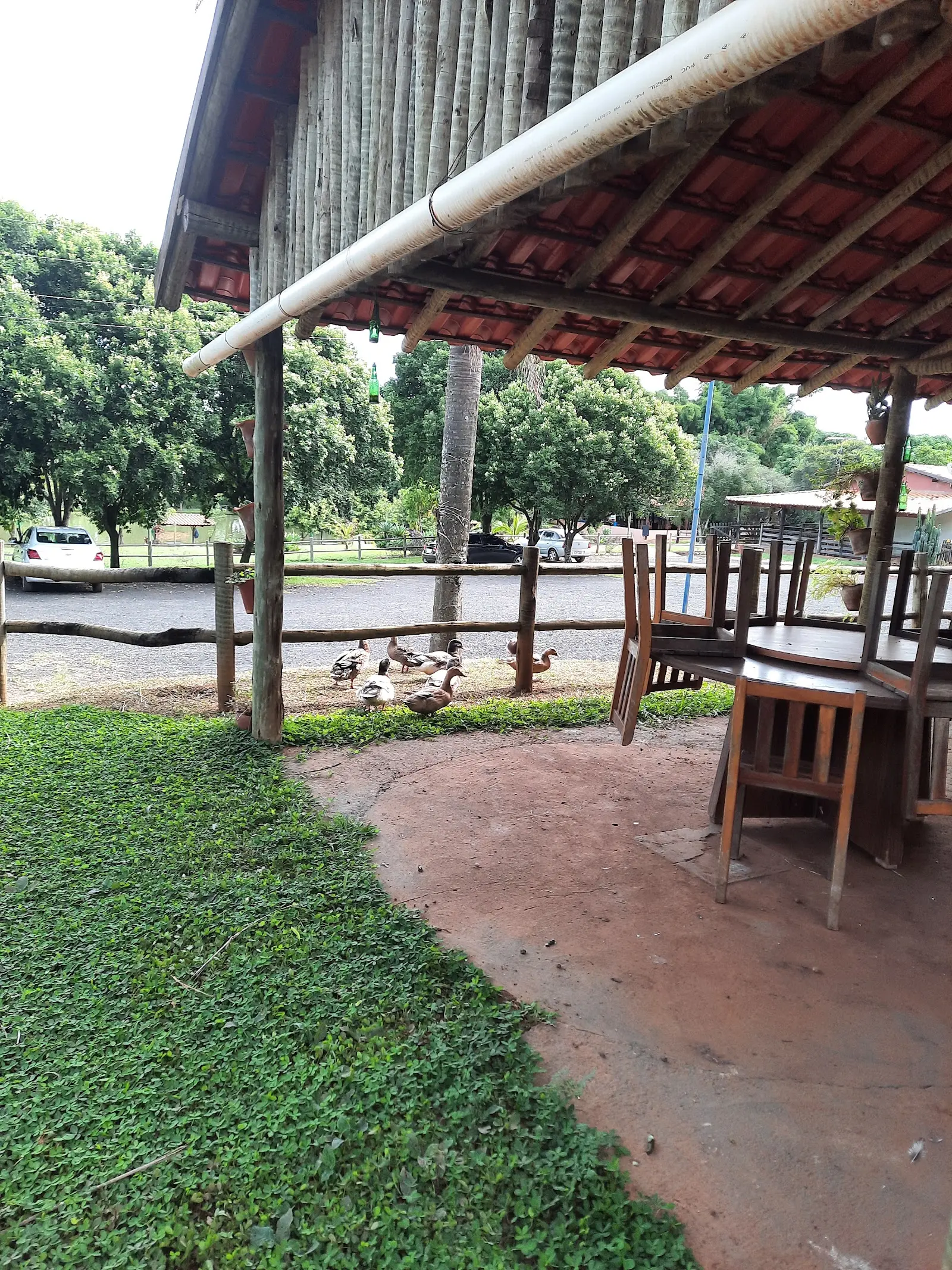 Pesque Pague Alegria, na zona rural de Uberaba, Minas Gerais