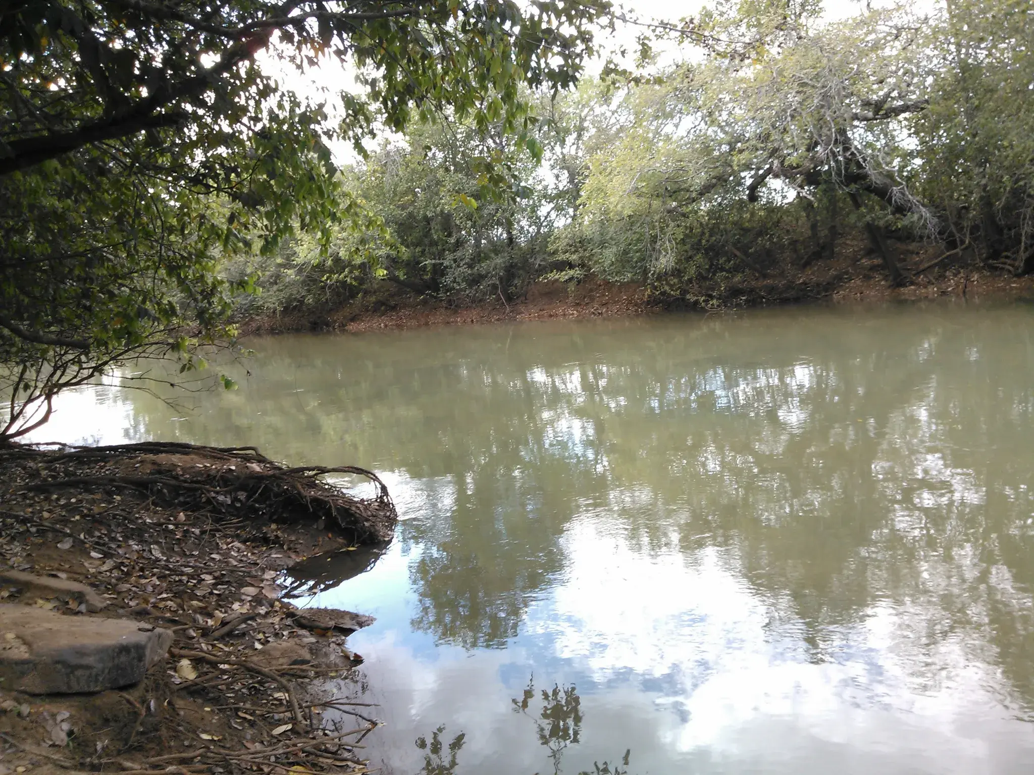 Remanso do Rio Verde com água calma refletindo as árvores da margem